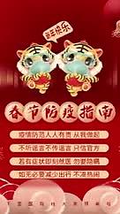 喜庆中国风虎年卡通虎新年春节防疫宣传海报视频的预览图